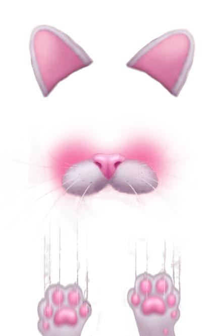 Snapchat Filter Kitten png transparent