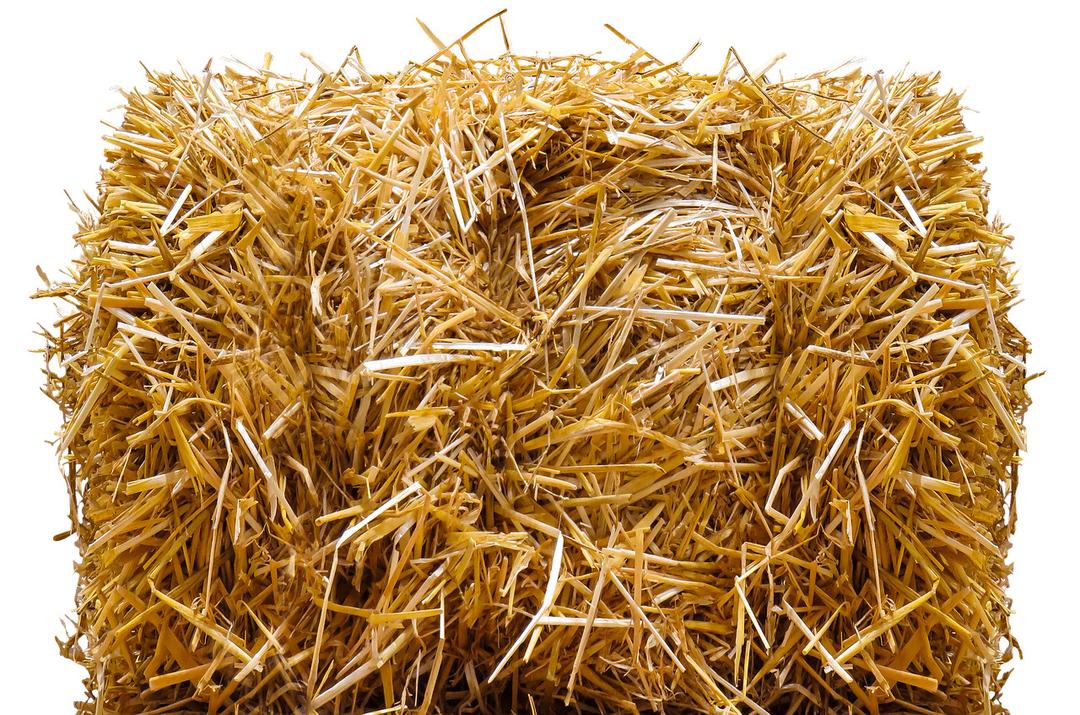 Straw Bale png transparent