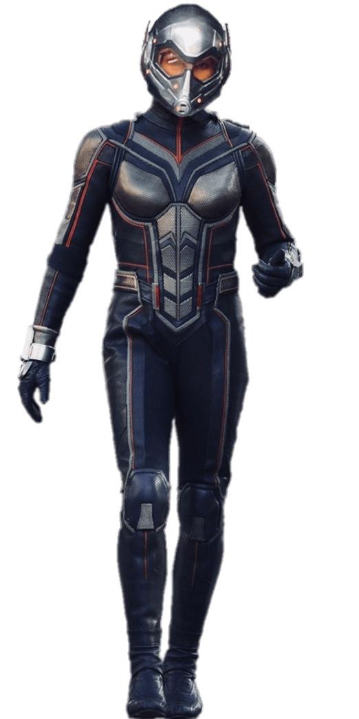 The Wasp Full Size png transparent