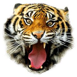 Tiger Mask png transparent