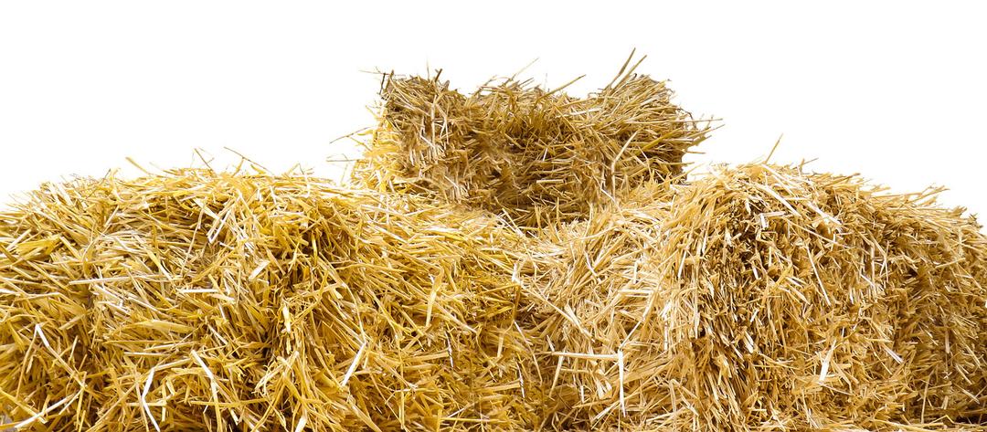 Top Of Straw Bales png transparent