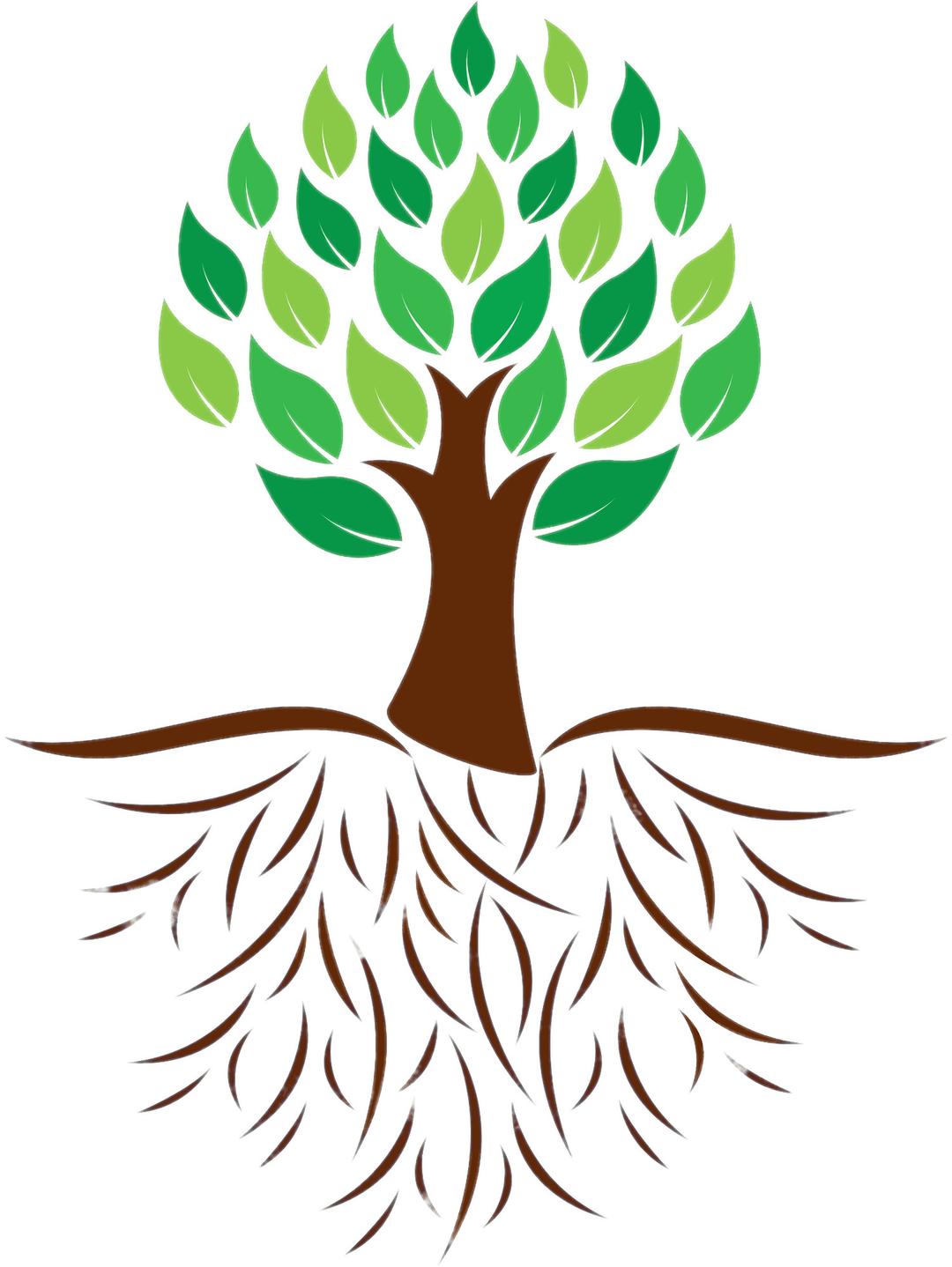 Tree and Roots Colour Illustration png transparent