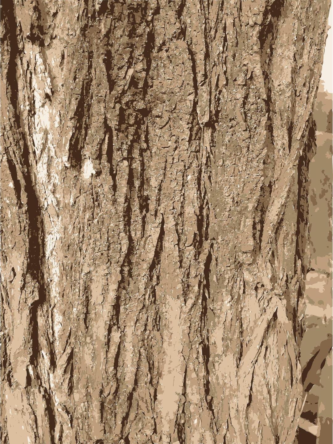 Tree bark texture png transparent
