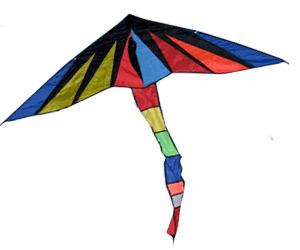 Umbrella Kite png transparent