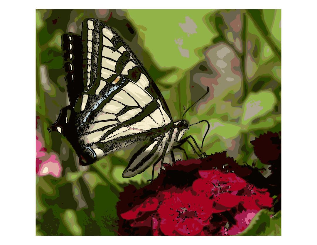 Western Tiger Swallowtail Butterfly - Enhanced color png transparent