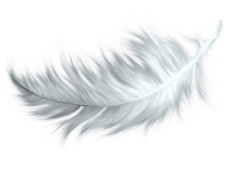 White Feather png transparent