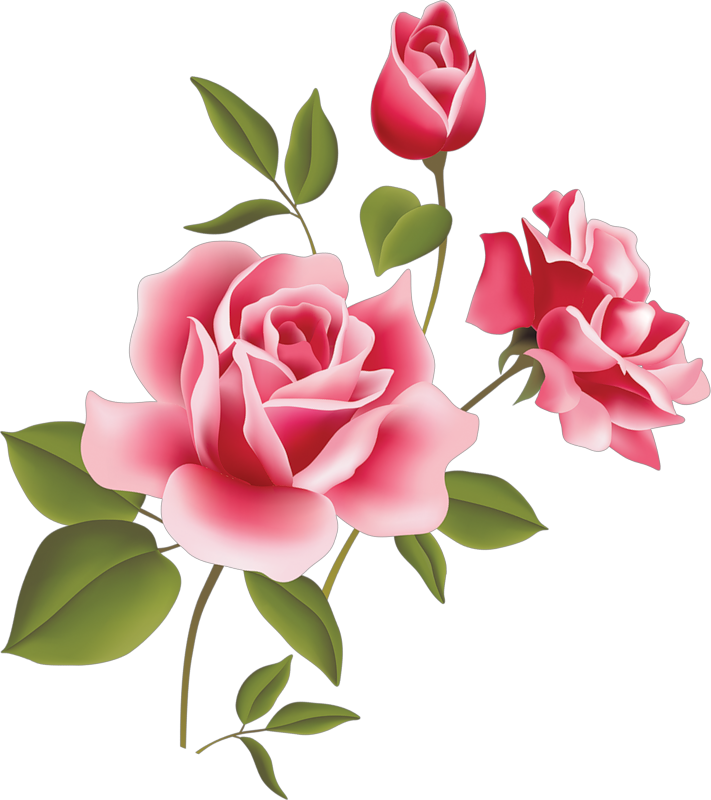 Art Picture Roses icons png preview