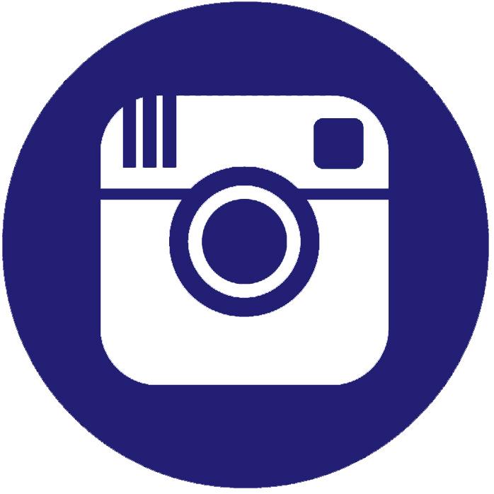 Blue Button Instagram Logo icons png preview