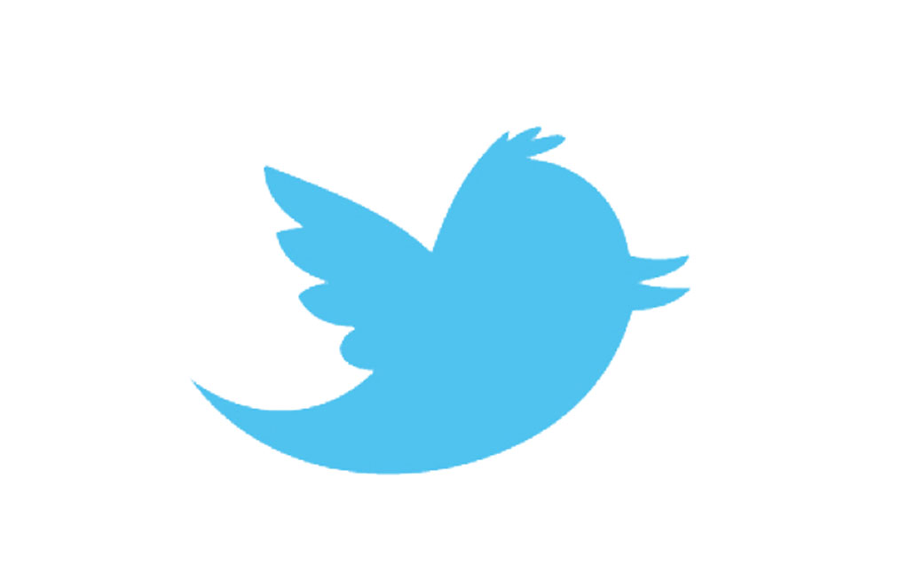 Blue Twitter Bird Silhouette icons png preview