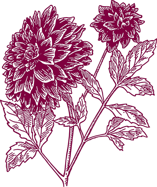 Carnation Flower Tattoo Art icon icons png free download