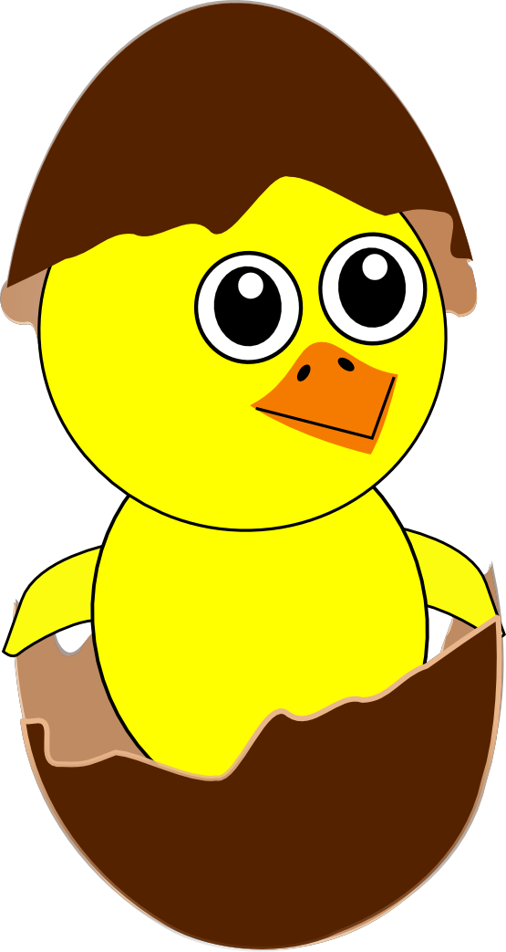 Cartoon Baby Chick icons png free download