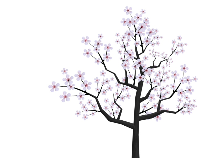 Cherry Blossom Png icons png preview