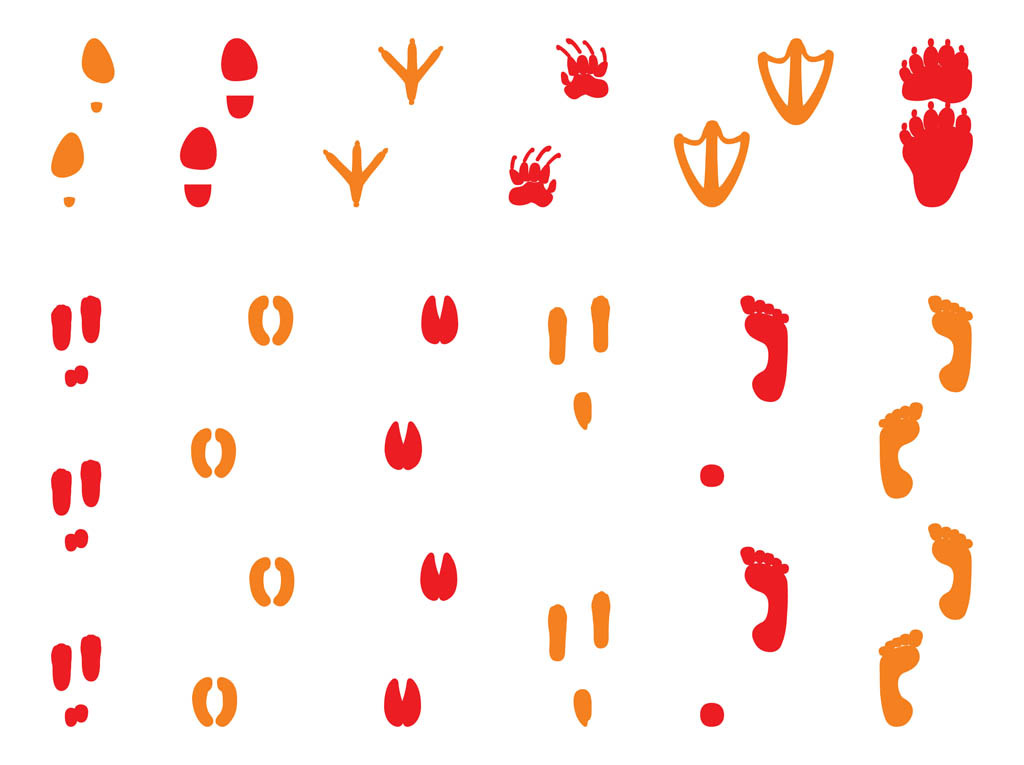 Colorful Animal Footprints Background icons png preview