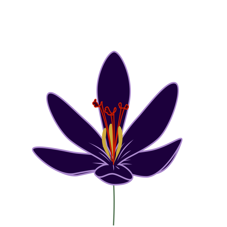 Crocus Flower icons png preview