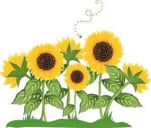 Decorative Sunflower green clip art icons png free download