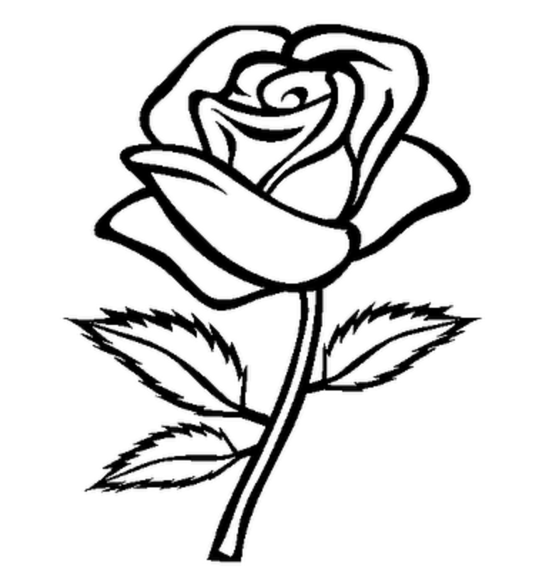 Drawing Rose Art icons png free download