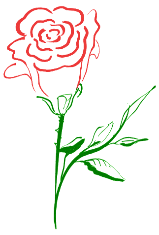 Drawing Rose Colored icons png preview