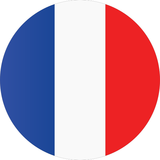 France Flag circle icon icons png preview