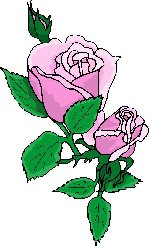 Green leaves pink rose icons png preview