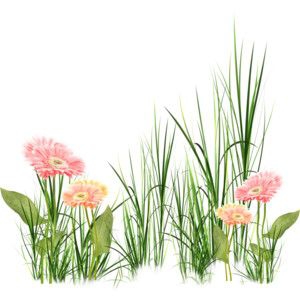 Green nature grass gardening clip art icons png free download