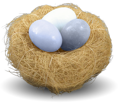 Nest PNG Transparent icons png free download