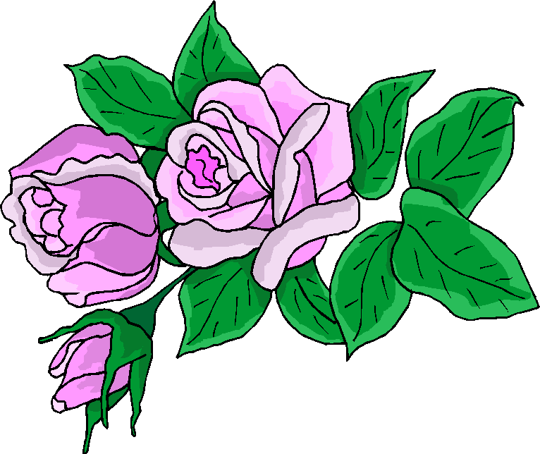 Pink Rose Hibiscus Flower icons png free download