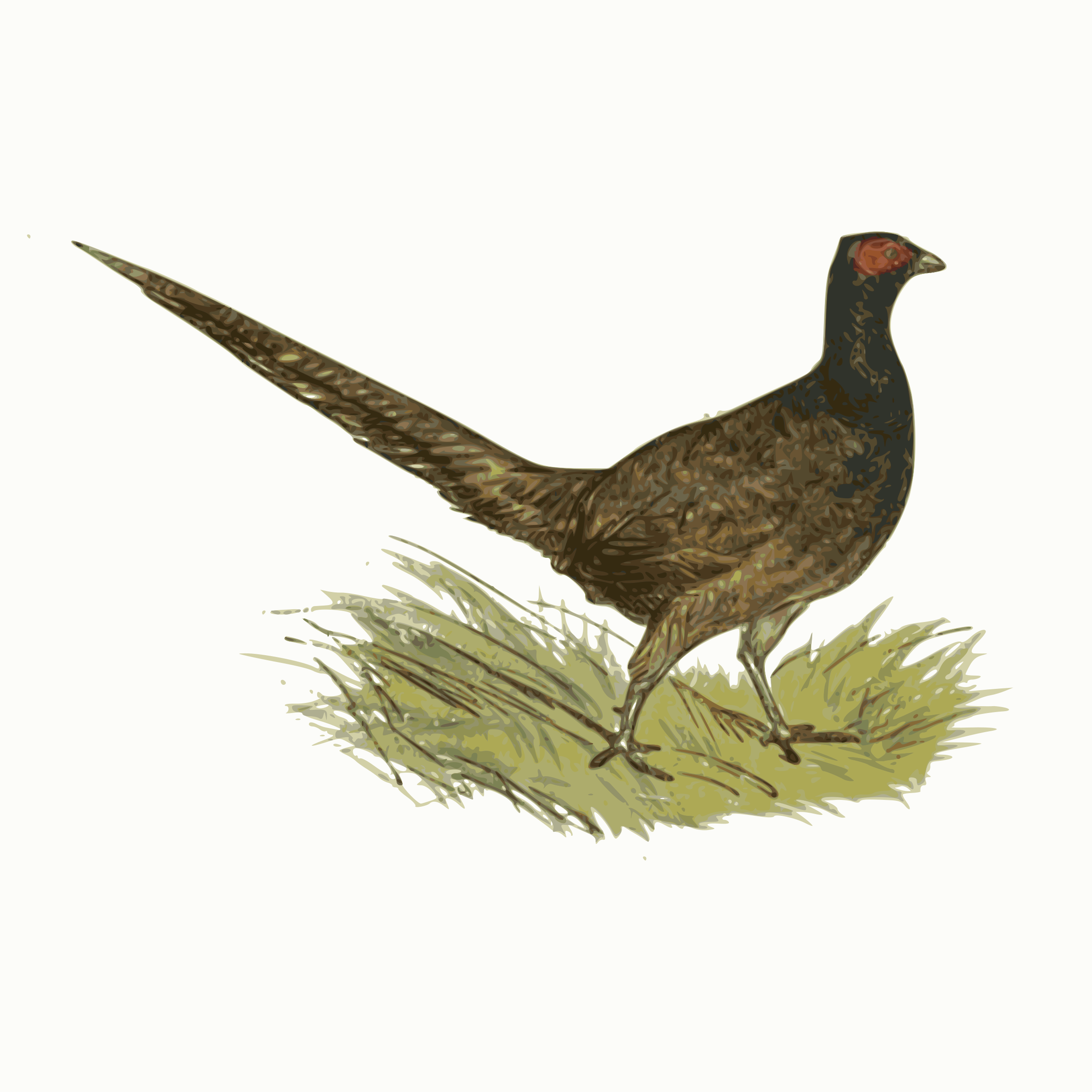 Professional Pheasant Png icons png preview