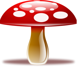 Red Mushroom Icon icons png preview