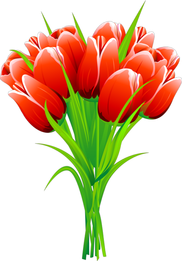 Spring Red Tulip bouquet icons png preview