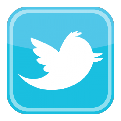 Twitter Bird Logo icons png free download