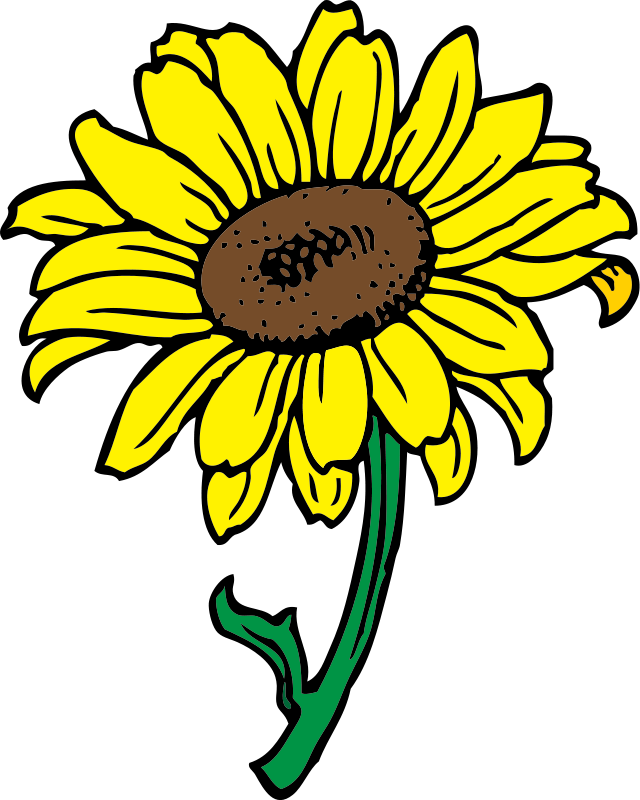 Yellow Sunflower icons png free download